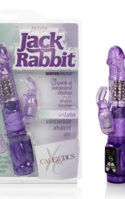 Petite Jack Rabbit - Purple