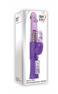 Eve's First Rechargeable Rabbit