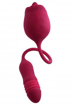 Evolved Wild Rose - Red